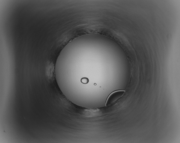 X0000101650480200807171257