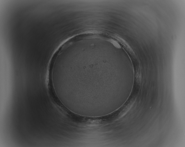 X0000101650484200807171256