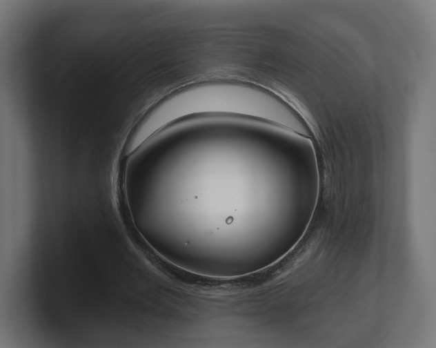 X0000101650485200807171256