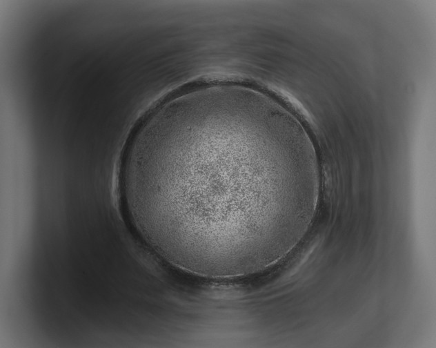 X0000101650487200807171256