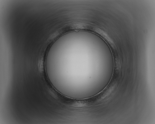 X0000101650489200807171256