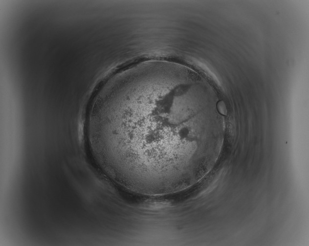 X0000101650491200807171256