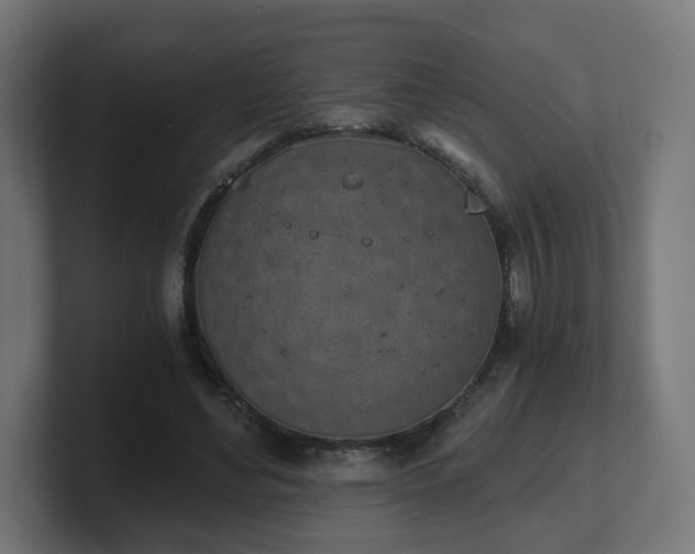 X0000101650492200807171256