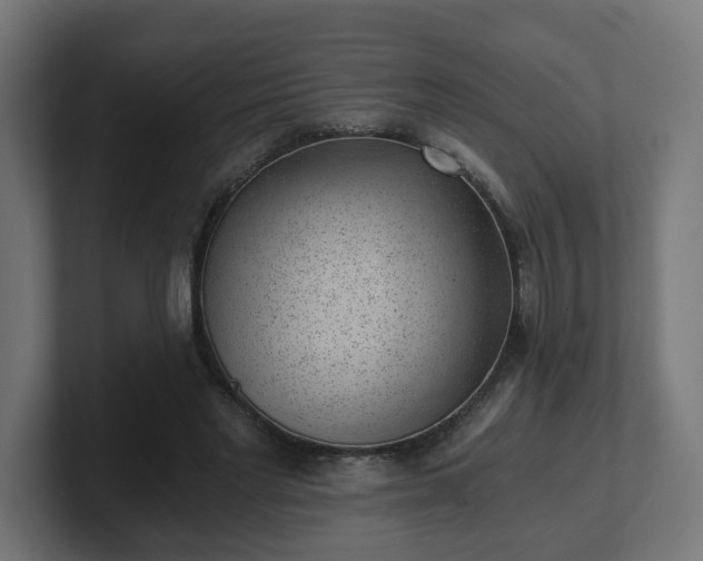 X0000101650493200807171256