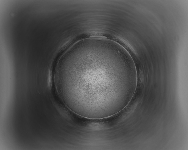 X0000101650494200807171256