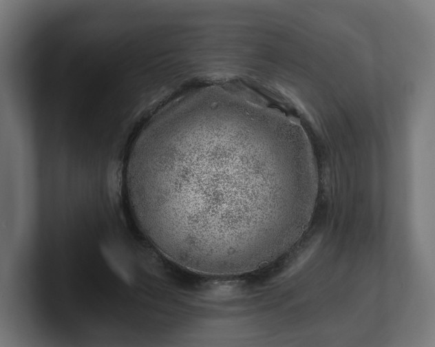 X0000101650495200807171256