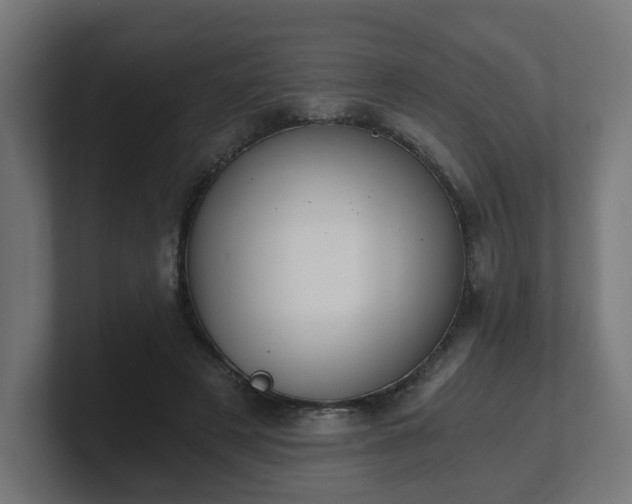 X0000101650497200807171256