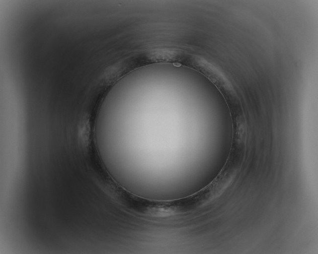 X0000101650498200807171256