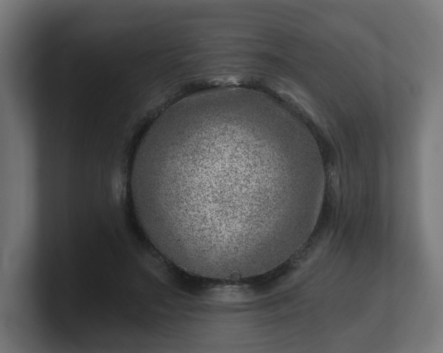 X0000101650499200807171256