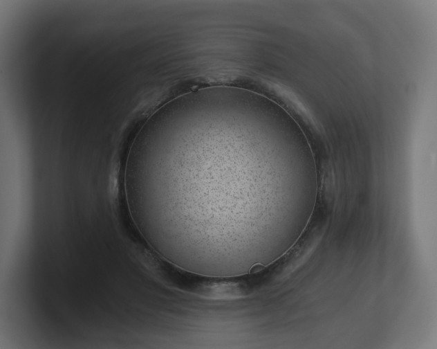 X0000101650501200807171256