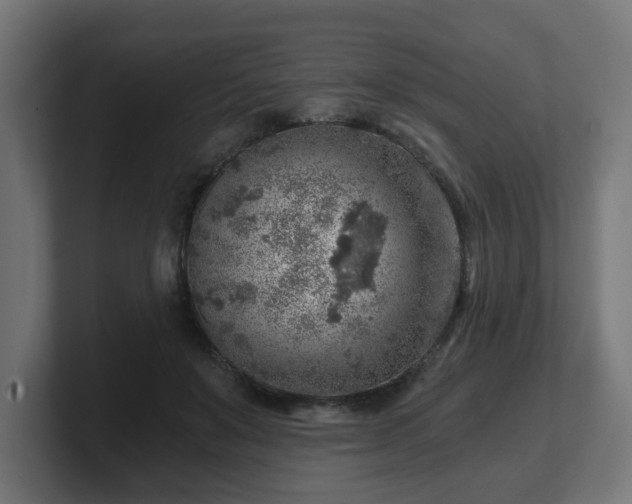 X0000101650503200807171256