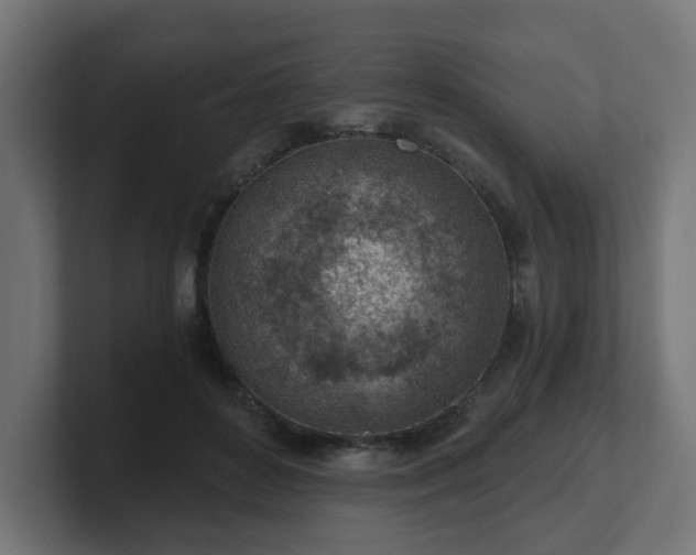 X0000101650504200807171256