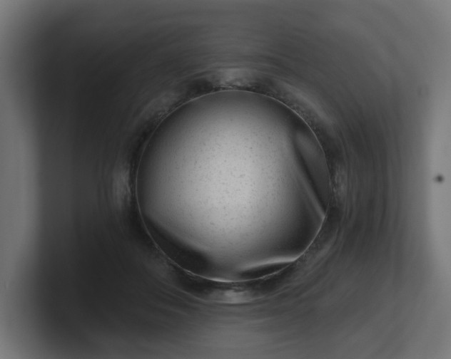 X0000101650506200807171256