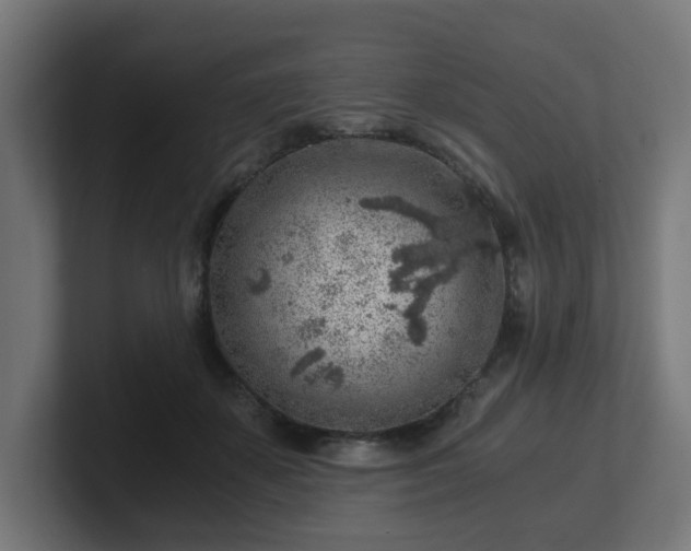 X0000101650507200807171256