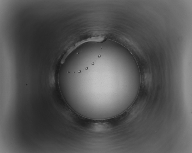 X0000101650508200807171256