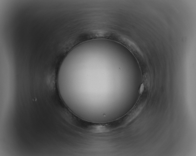 X0000101650509200807171256