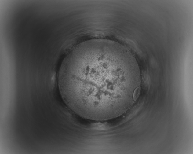 X0000101650511200807171256