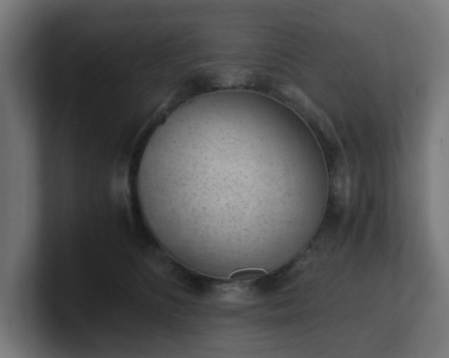 X0000101650516200807171256