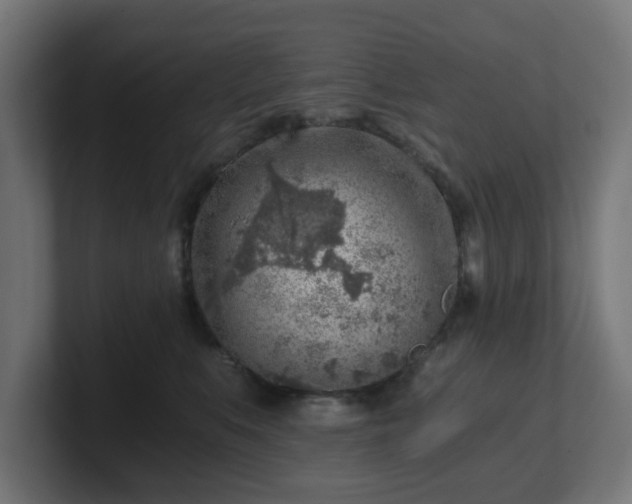 X0000101650519200807171256