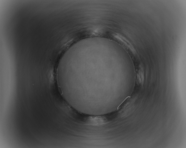 X0000101650520200807171256