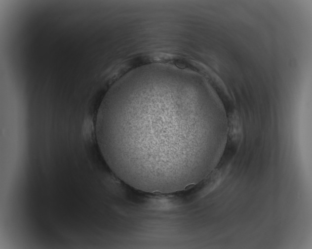 X0000101650523200807171256