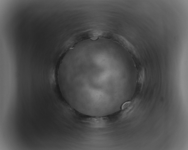 X0000101650524200807171256