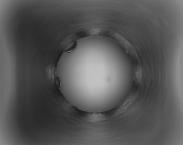 X0000101650525200807171256