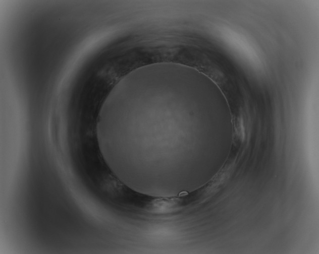 X0000101650526200807171256