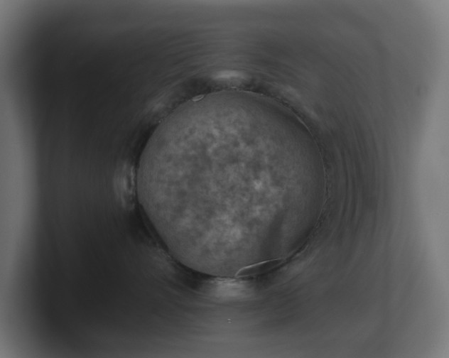 X0000101650528200807171256