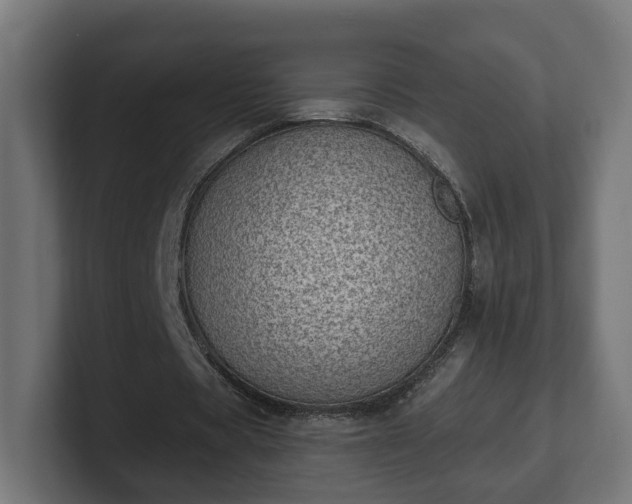 X0000101650529200807171255