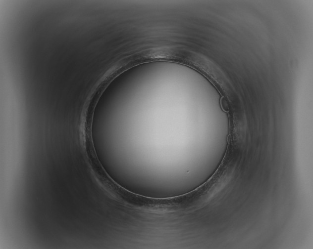 X0000101650530200807171255