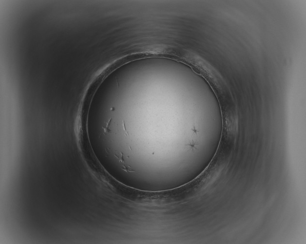 X0000101650532200807171255