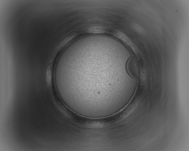 X0000101650533200807171255