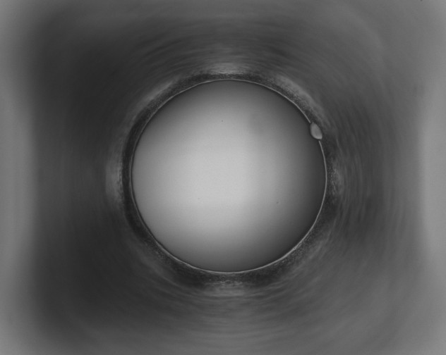 X0000101650535200807171255