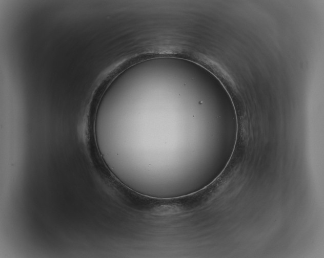 X0000101650536200807171255