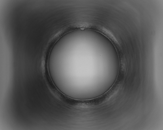 X0000101650538200807171255