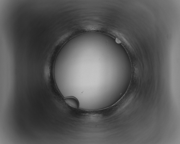 X0000101650539200807171255