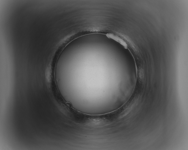 X0000101650540200807171255