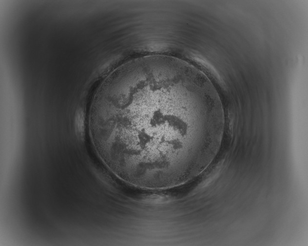 X0000101650542200807171255