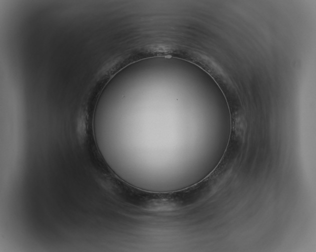 X0000101650544200807171255