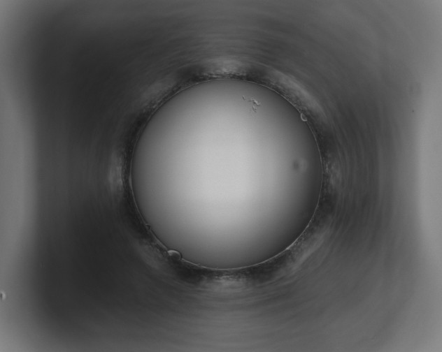 X0000101650546200807171255