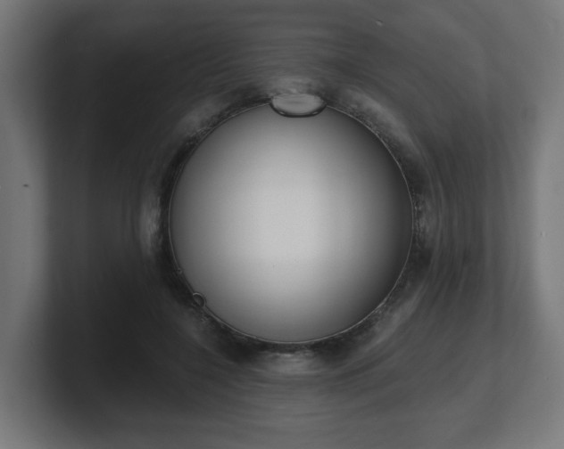 X0000101650548200807171255