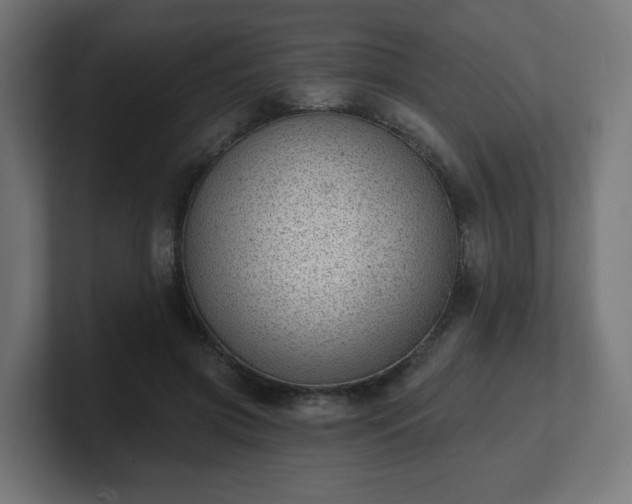 X0000101650549200807171255