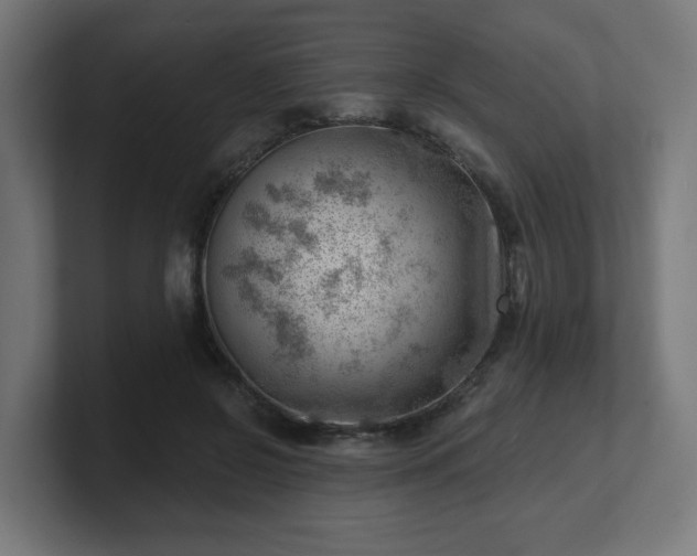 X0000101650550200807171255