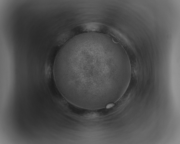 X0000101650551200807171255