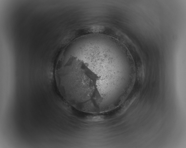 X0000101650553200807171255