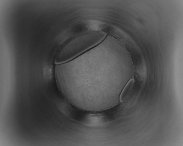 X0000101650556200807171255