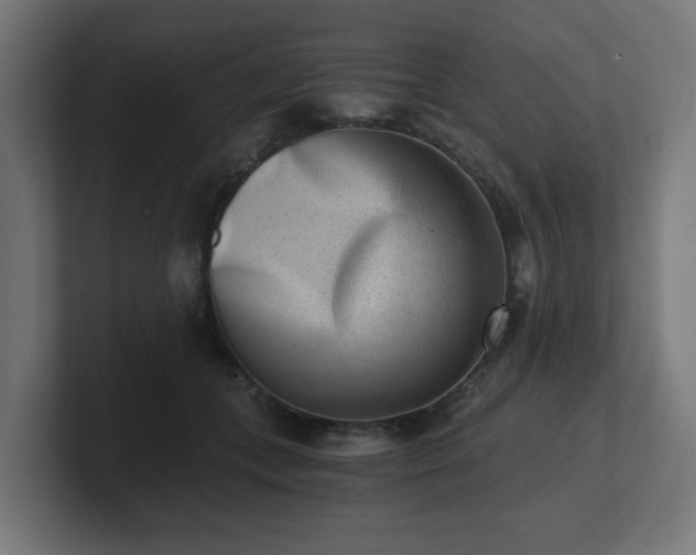 X0000101650559200807171255