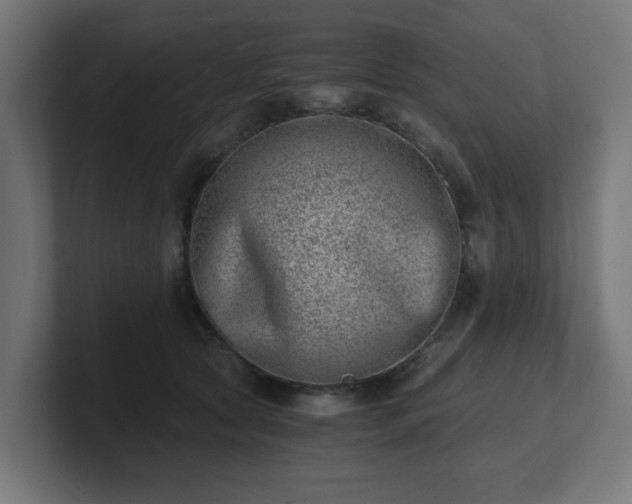 X0000101650561200807171255