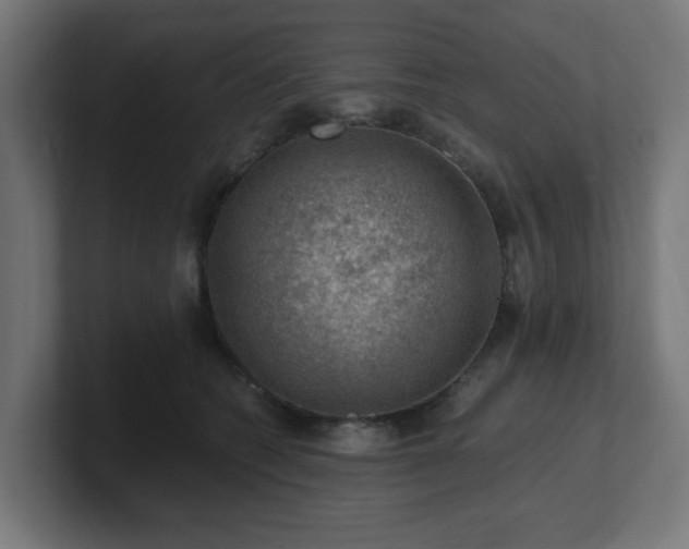 X0000101650562200807171255